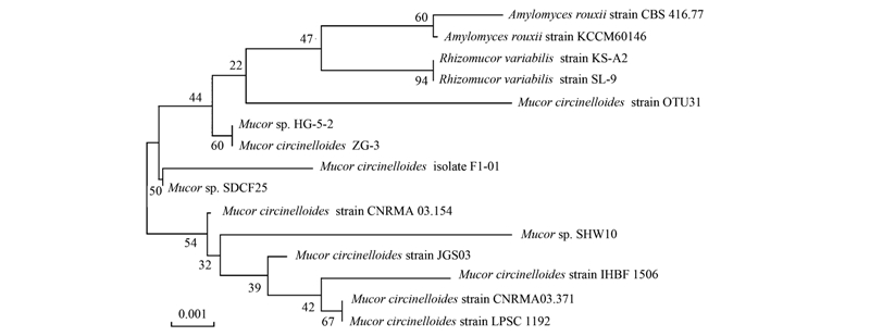 圖片關鍵詞 圖片關鍵詞