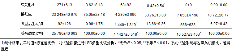 圖片關鍵詞 圖片關鍵詞
