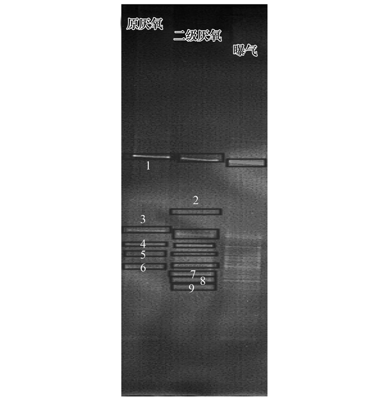 圖片關鍵詞 圖片關鍵詞