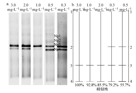 圖片關鍵詞 圖片關鍵詞