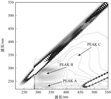 圖片關(guān)鍵詞 圖片關(guān)鍵詞