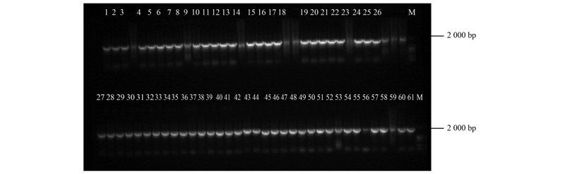 圖片關(guān)鍵詞 圖片關(guān)鍵詞