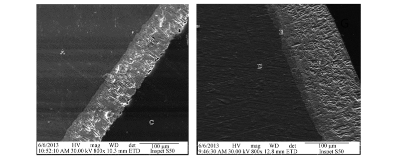 圖片關鍵詞 圖片關鍵詞
