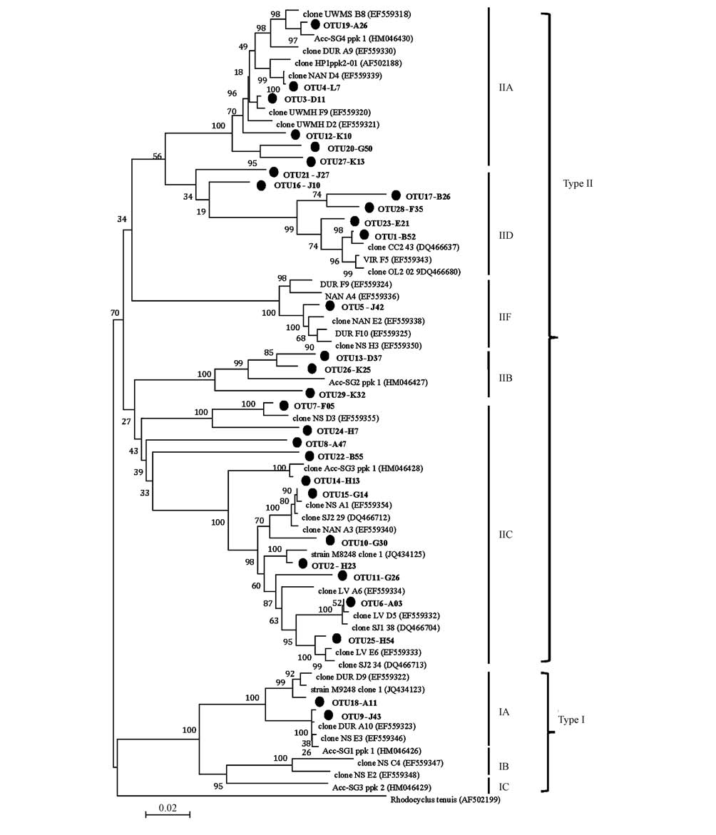 圖片關鍵詞 圖片關鍵詞