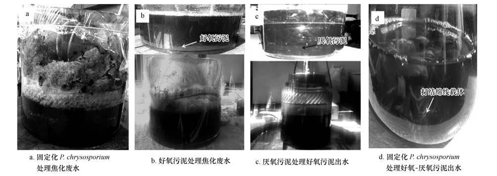 圖片關鍵詞 圖片關鍵詞