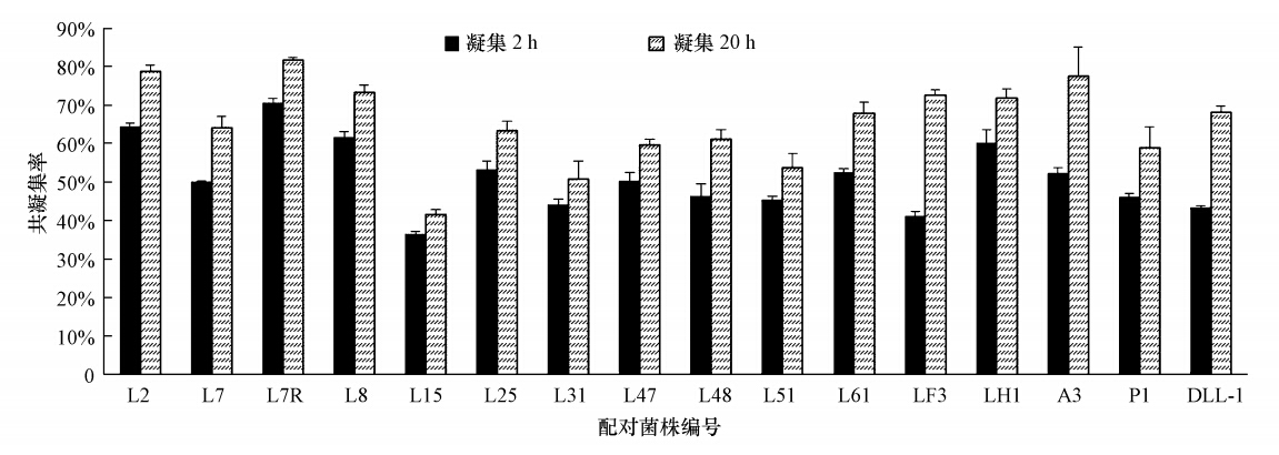 圖片關鍵詞 圖片關鍵詞