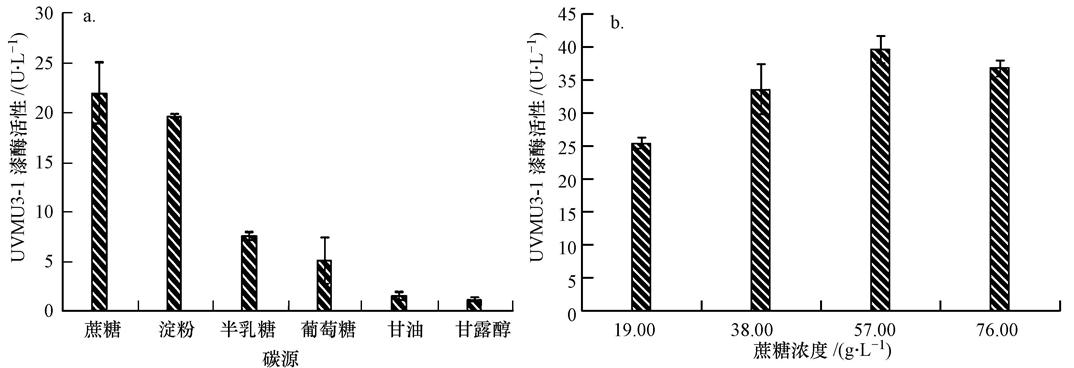 圖片關鍵詞 圖片關鍵詞
