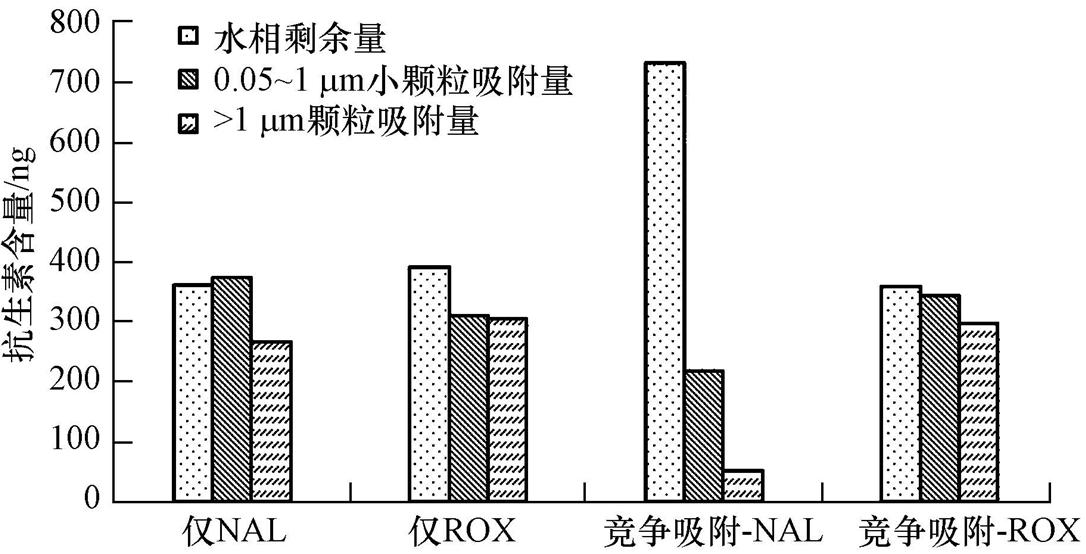圖片關(guān)鍵詞 圖片關(guān)鍵詞