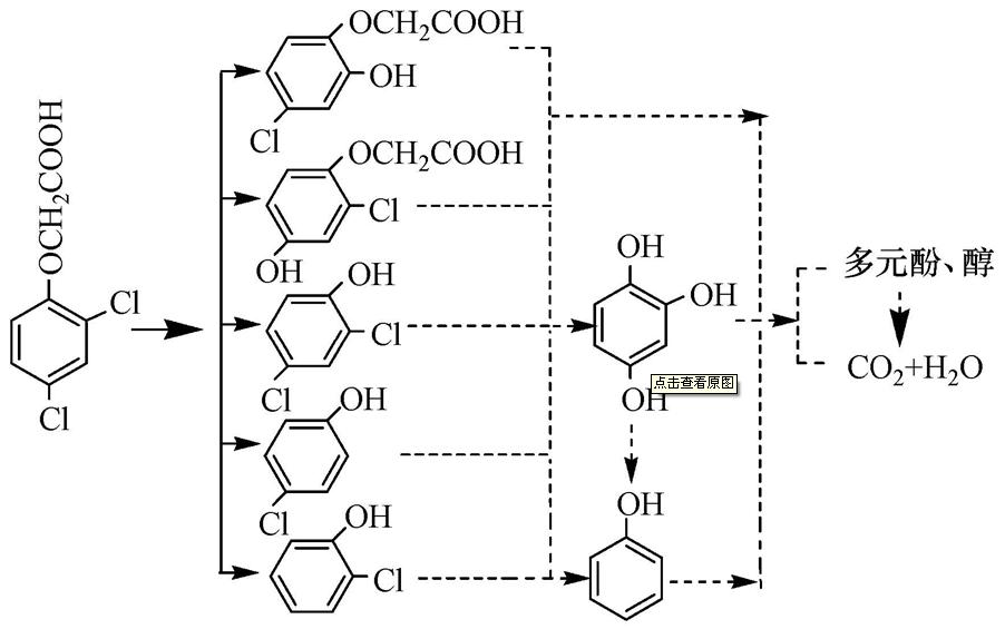 圖片關鍵詞 圖片關鍵詞