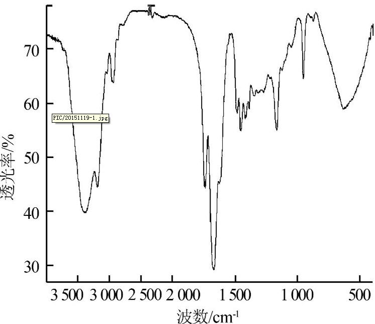 圖片關鍵詞 圖片關鍵詞