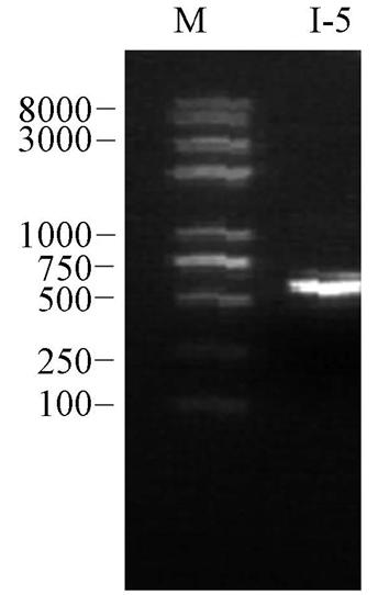 圖片關(guān)鍵詞 圖片關(guān)鍵詞