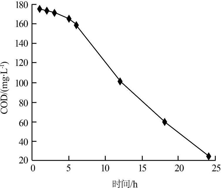圖片關(guān)鍵詞 圖片關(guān)鍵詞