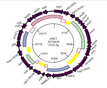 圖片關鍵詞 圖片關鍵詞
