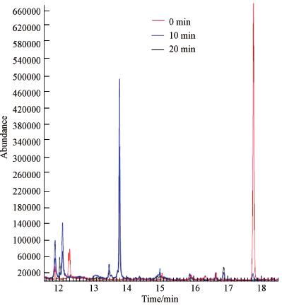 圖片關鍵詞 圖片關鍵詞
